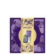 Lavande Conjunto de presente &Oacute;leo Relaxante de Lavanda 100 ml + Creme de Duche Relaxante de Lavanda 200 ml