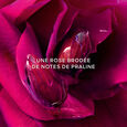 La Petite Robe Noire Gift Set Eau de Parfum 50 ml + 5 ml Sample + 75 ml Body Lotion