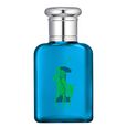 Big Pony Men Ralph Lauren