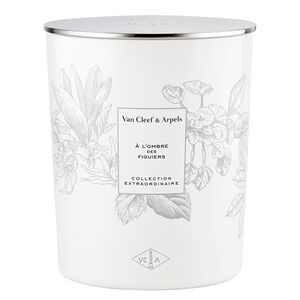 A l'Ombre des Figuiers