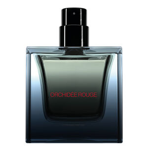 Orchid&eacute;e Rouge