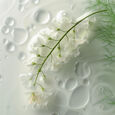 Tonique Hydratant Leonor Greyl
