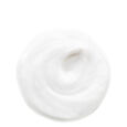 Deep Cleansing Foam Shiseido