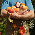 Mandarine Swieca zapachowa 185 g