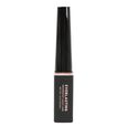 Eyeliner Everlasting Profusion Cosmetics