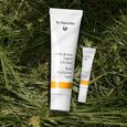 Care & Glow - Rose Dr.Hauschka