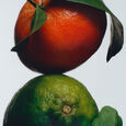 Lime Basil & Mandarin Cologne 30 ml