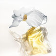 l'Air du Temps White Orchid Edition Eau de Parfum 50 ml