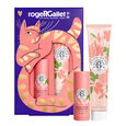 Fleur de Figuier Set met lippenbalsem voor een stralende glans + verzorgende handcr&egrave;me 30 ml