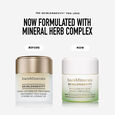 Skinlongevity bareminerals