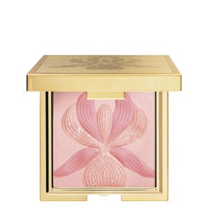 L'Orchidee