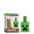 Minecraft kid's