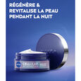 Cellular Epigenetics Nivea