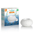 Diffusion Puressentiel