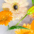 Vanille Soleil Roger&Gallet