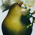 English Pear & Freesia Everywhere & More Set &bdquo;English Pear Freesia&ldquo; &ndash; Eau de Cologne 100 ml + Spr&uuml;hflasche 2 x 10 ml