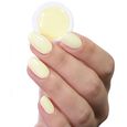 Striplac Peel or Soak Alessandro