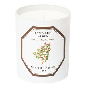 Santal