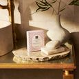 The Ritual of Sakura Rituals
