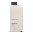 BLOW DRY WASH Kevin Murphy