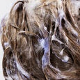Bright Blonde Oribe