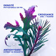 Phytocyane phyto paris