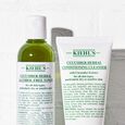 Cucumber Herbal Kiehl's