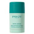 P&acirc;te Grise Payot