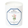 Rose de Damas Carri&egrave;re Fr&egrave;res