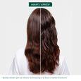 Hydra Source Biolage