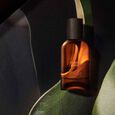 Entirely Aurner Eau de Parfum 50 ml
