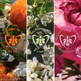 Mandarine Basilic Forte Guerlain