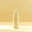 Hair Alchemy Oribe