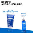 DS Hair - Lotion Regolatore antiforfora 100 ml