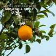 Mandarin Neroli Korres