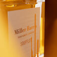 Soufflot Miller Harris