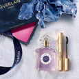 Insolence Coffret Eau de Parfum 75ml + Mascara Noir G 6g