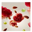 The Ritual Of Ayurveda Rituals