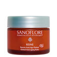 Cr&egrave;me des Reines Riche Sanoflore