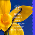 Vanille Soleil Roger&Gallet