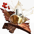 Bar&eacute;nia Gift Set Eau de Parfum 60 ml + Eau de Parfum Nomade 15 ml