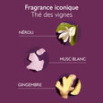 Shampoing Soin Douceur Gentle Conditioning Shampoo