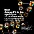 Serie Expert Absolut Repair Molecular Zestaw: szampon 300 ml + olejek dwufazowy Absolut Repair Molecular 90 ml