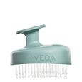 Scalp Solutions Aveda