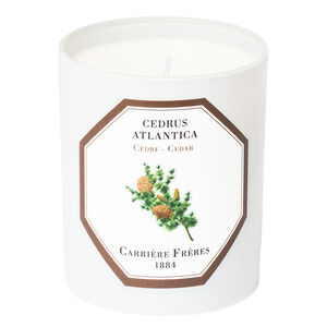 C&egrave;dre