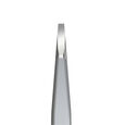 Lash Brow Staleks