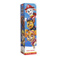 Pat patrouille kid's