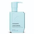 LEAVE-IN REPAIR Kevin Murphy