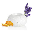 Diffusion Puressentiel