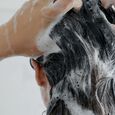 Shampooing Argile Verte Cattier